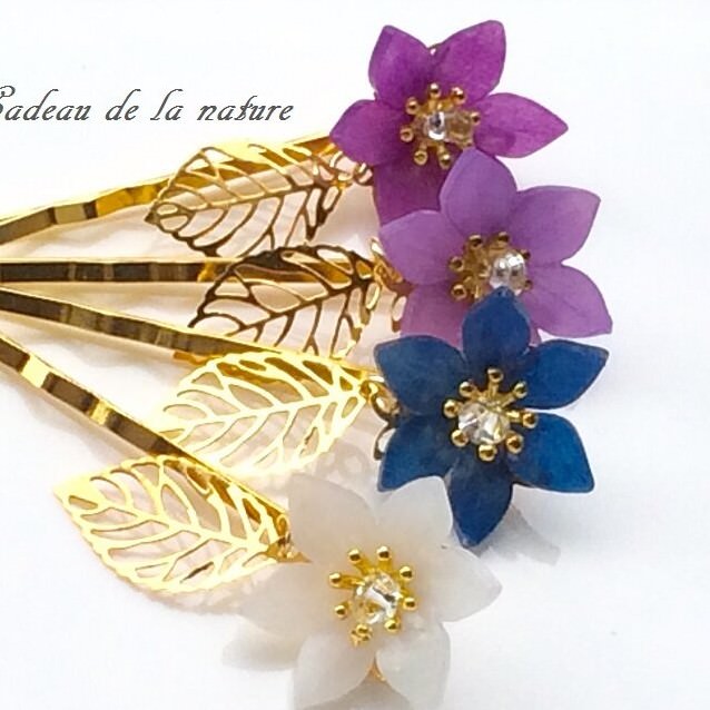 nature クレマチスのヘアピン